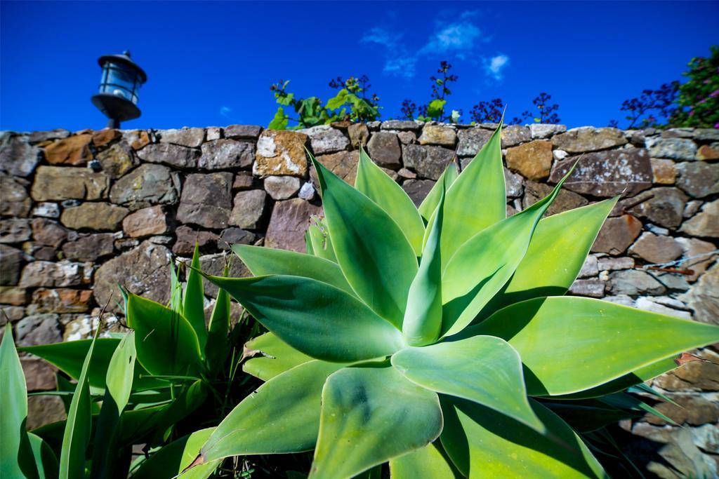 Gasthof El Levante Tarifa
